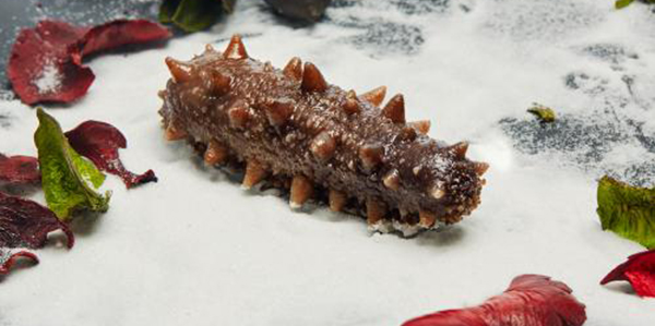 怎樣快速的區(qū)分淡干海參、鹽干海參和凍干海參？